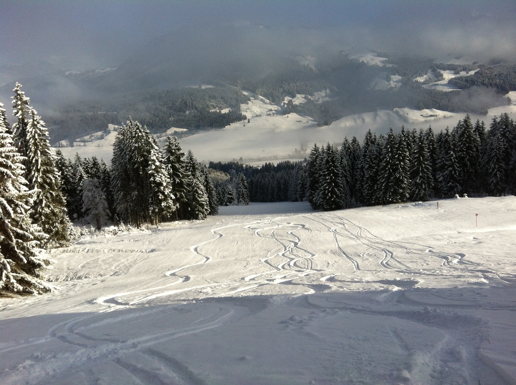 img_0704ffxvt.jpg