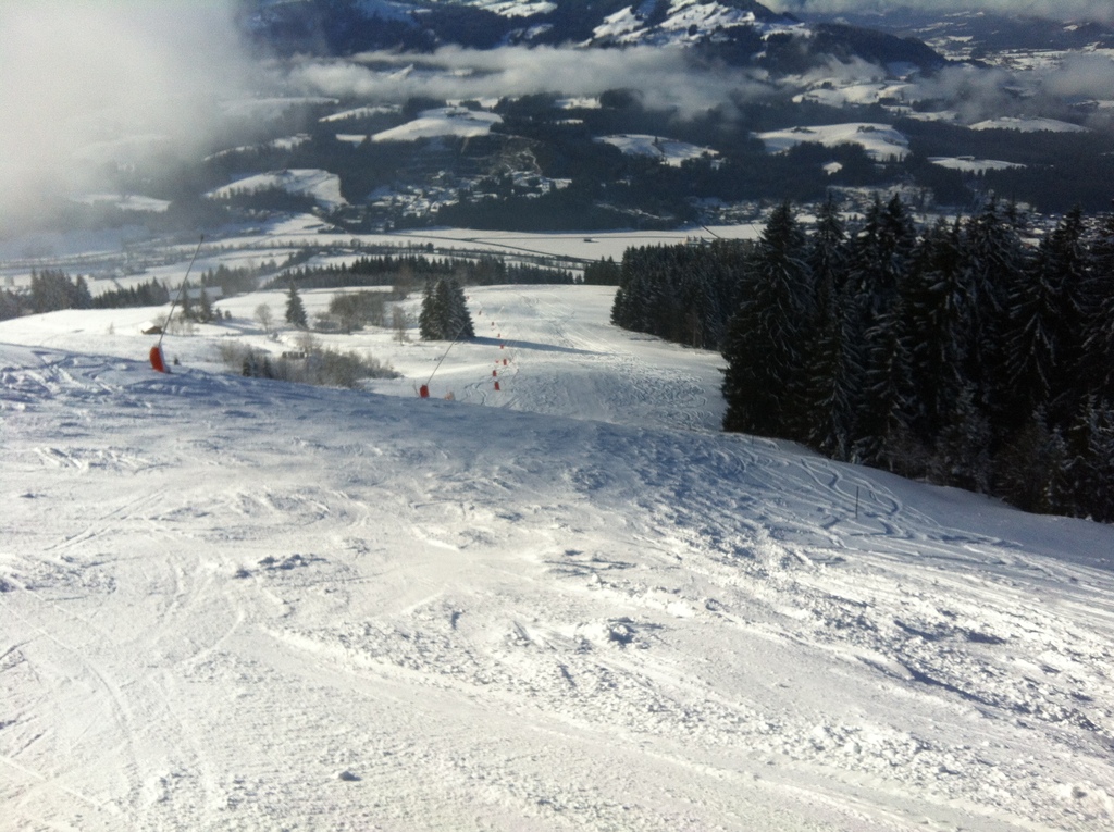 img_07286mz0u.jpg