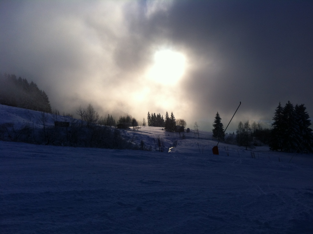 img_0742x2xjy.jpg