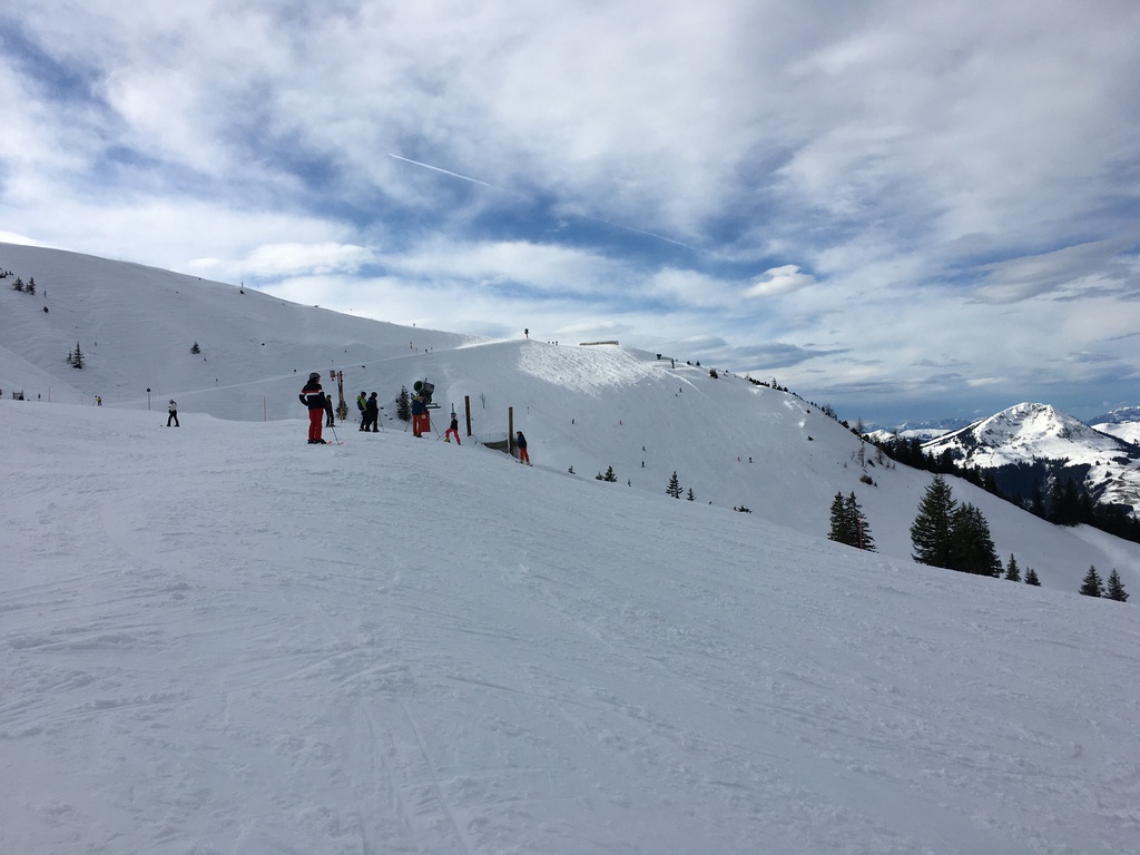 img_15464ljg4.jpg