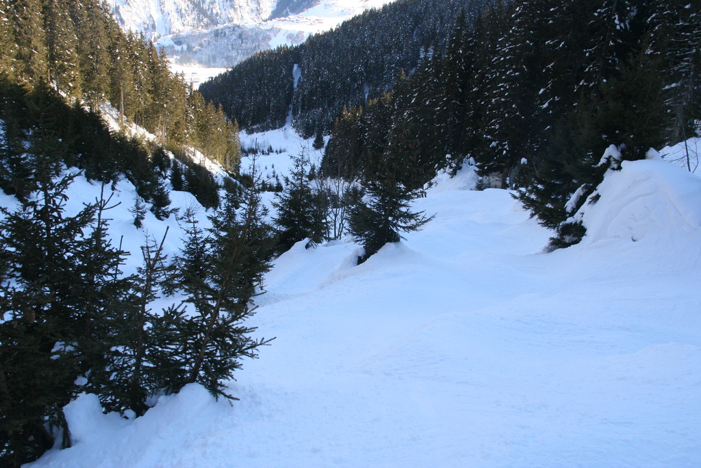 img_7102ghcml.jpg