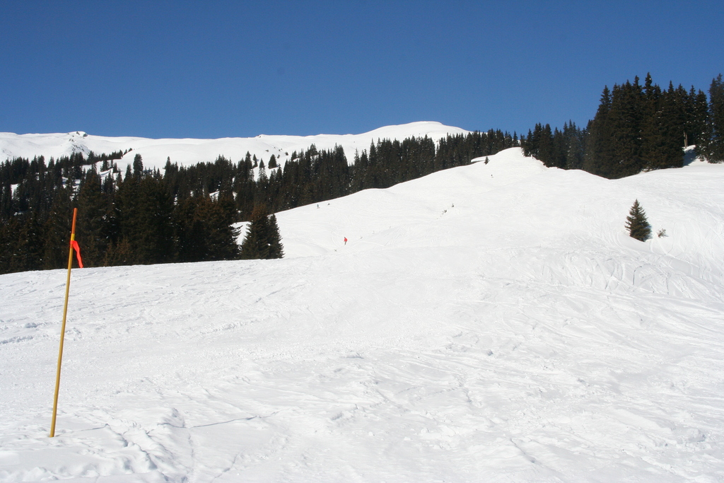 img_71597rdob.jpg