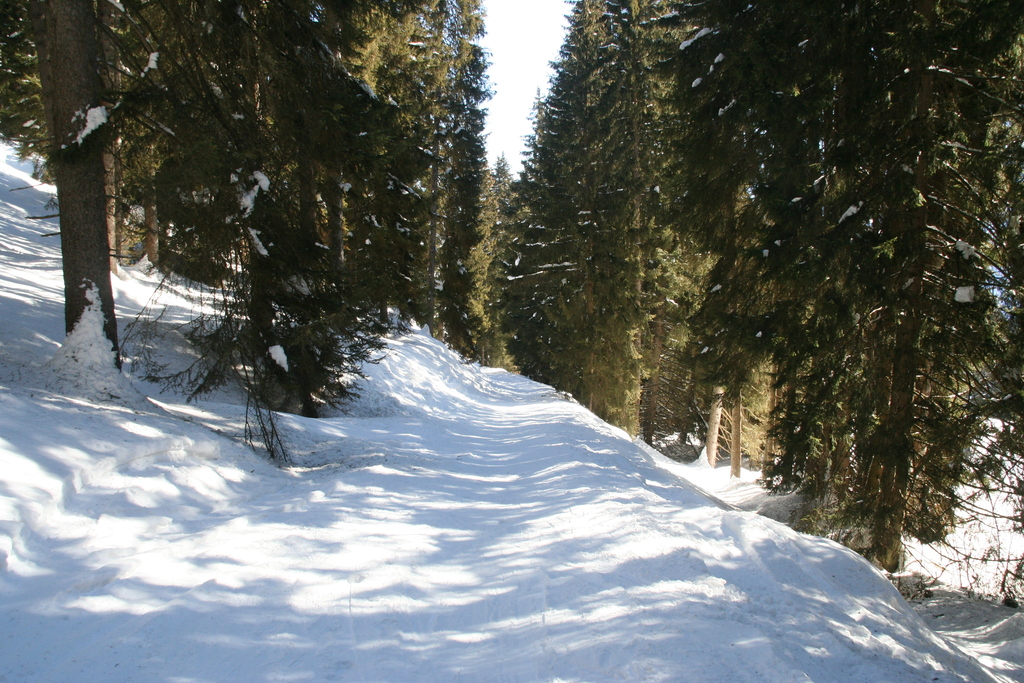 img_7163p8dwm.jpg