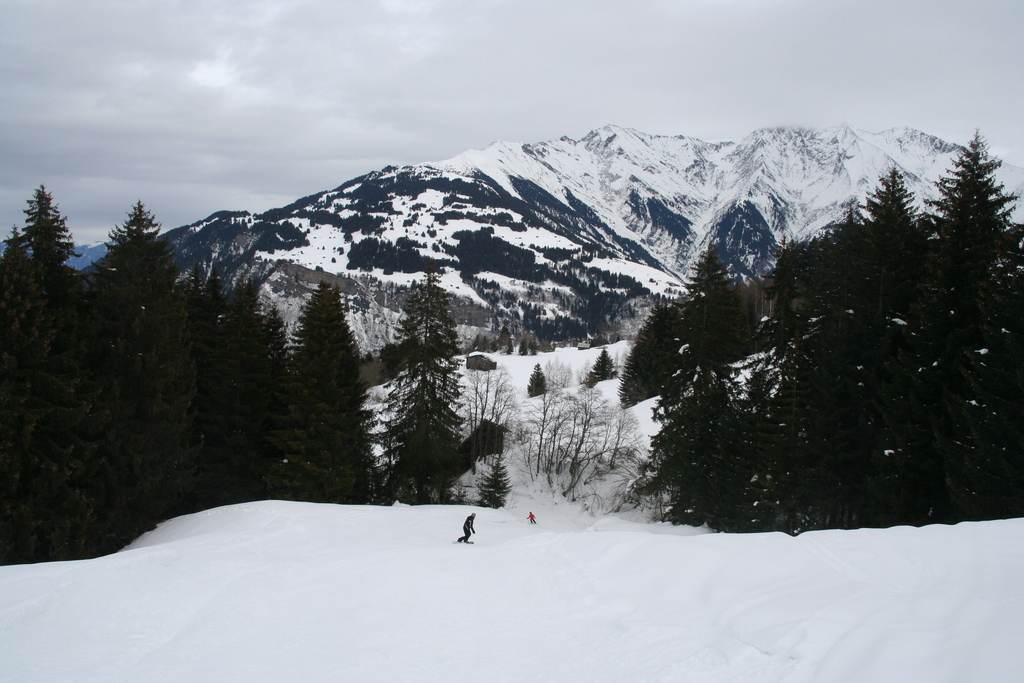 img_7236zujjg.jpg