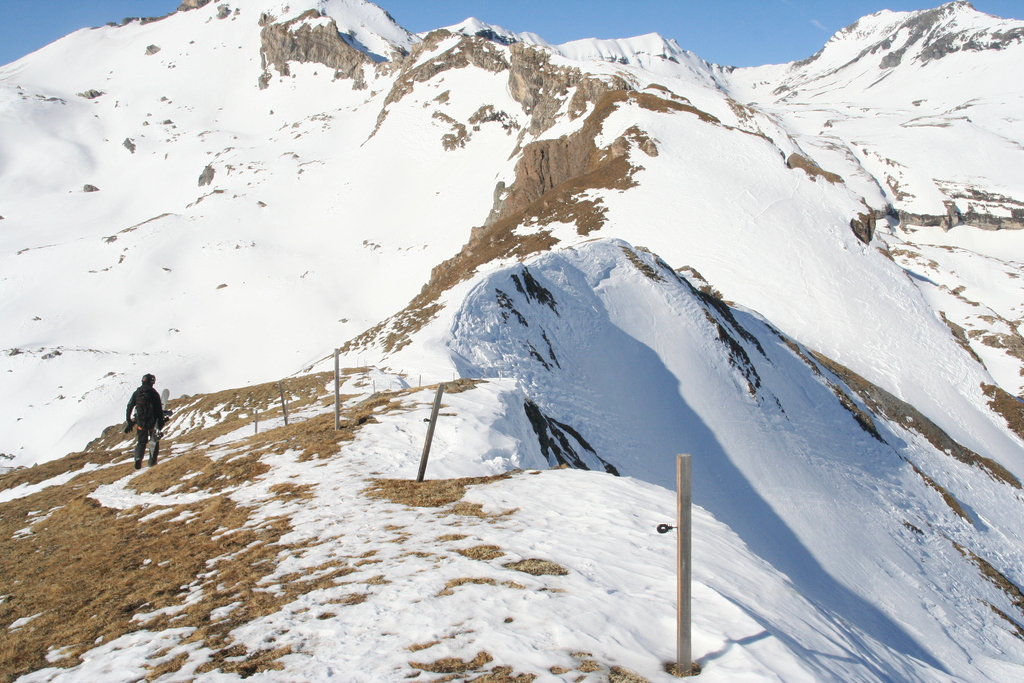 img_72767puy1.jpg