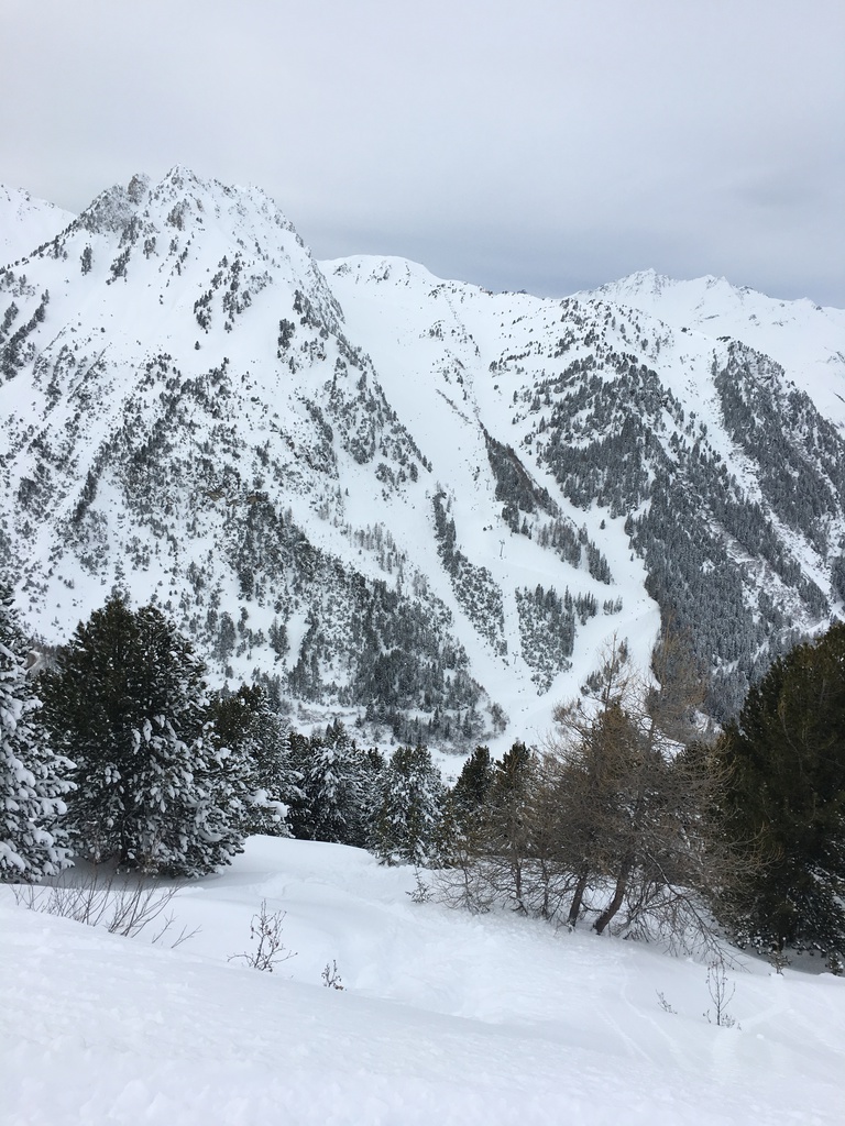 img_9832zkkcp.jpg
