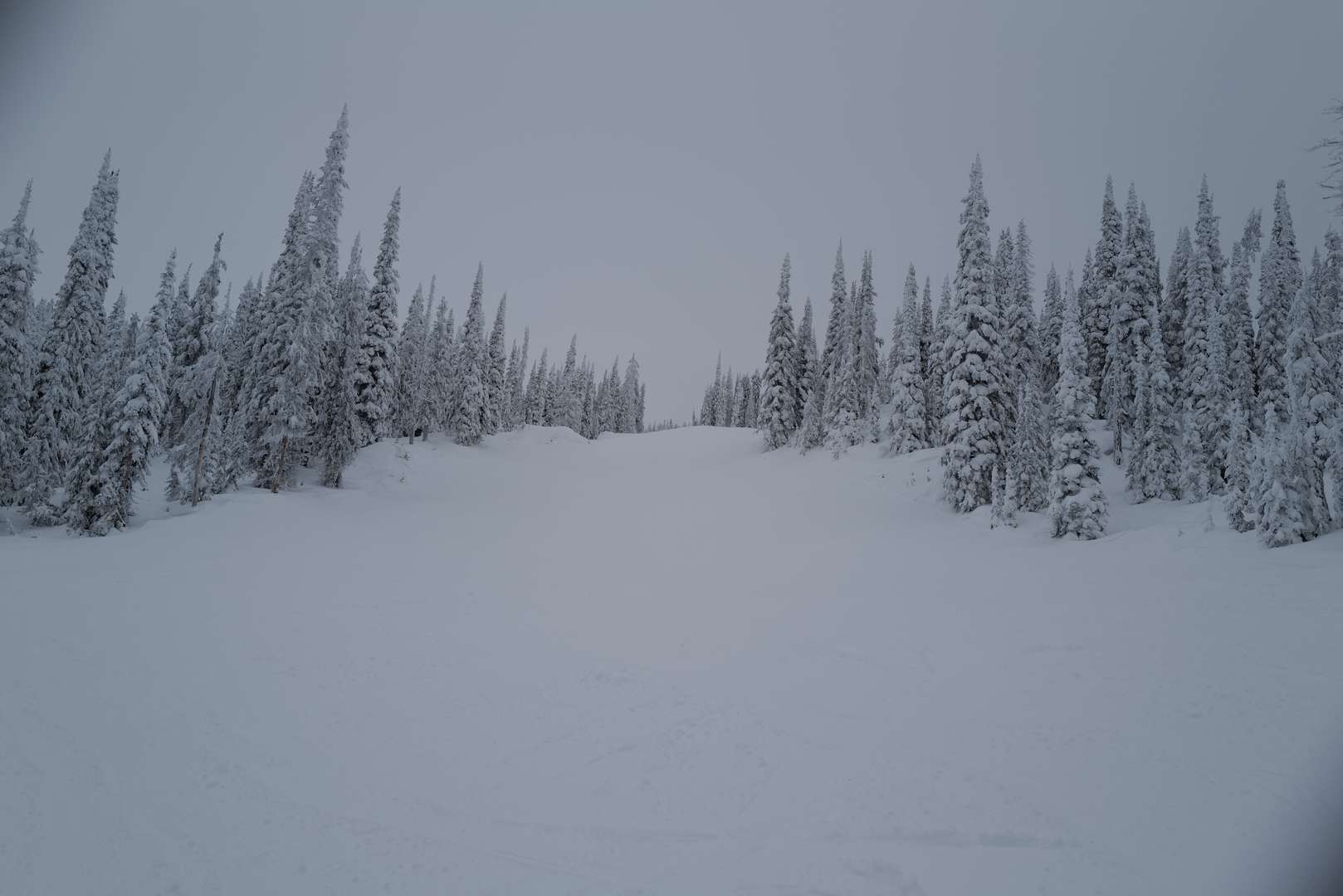 l1000022-min0xj9m.jpg