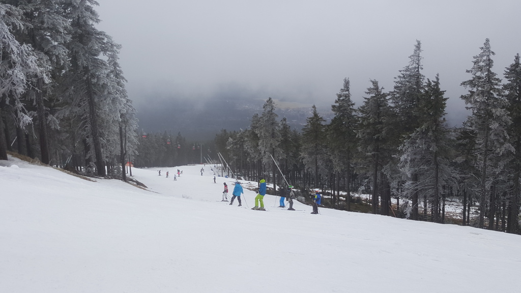 20160319_101127v0k45.jpg
