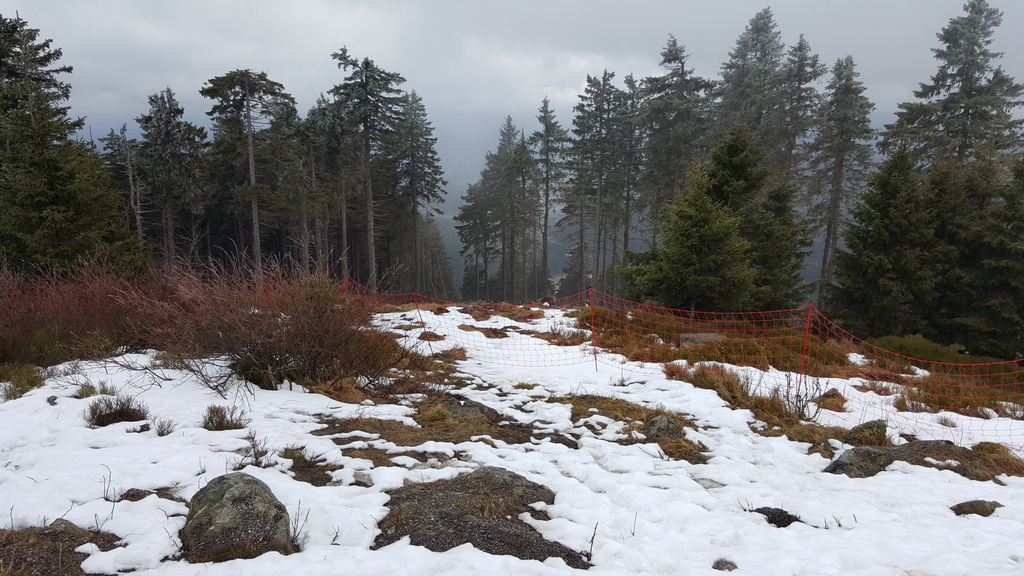 20160319_110324rokfs.jpg