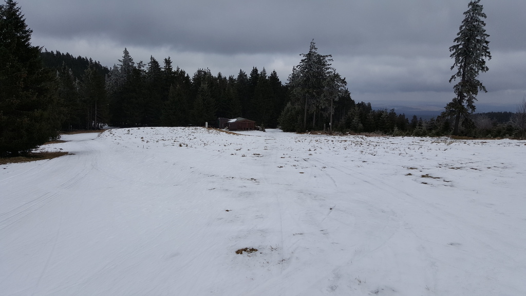 20160319_113340wokog.jpg