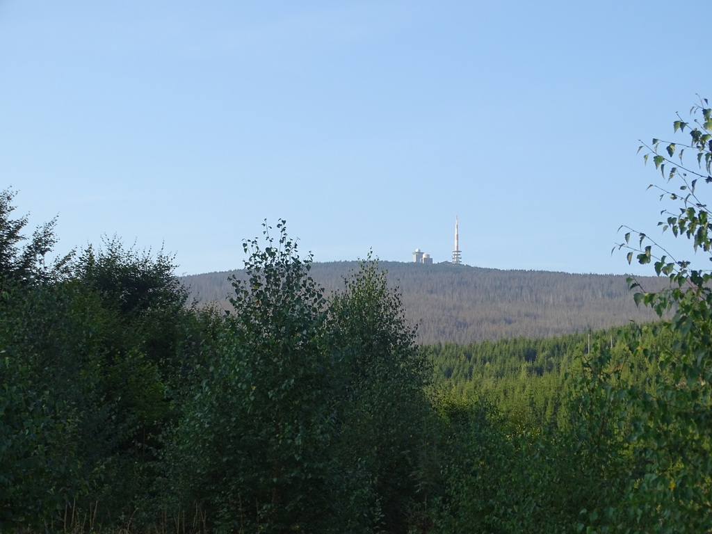 dsc01304qusqv.jpg