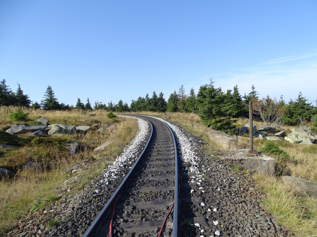 dsc01365rzu5y.jpg