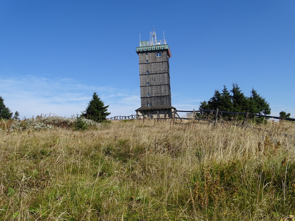 dsc01403awutr.jpg
