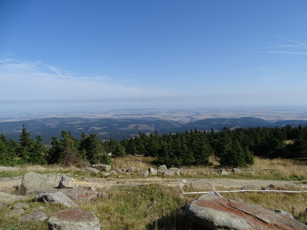 dsc014218zs7y.jpg