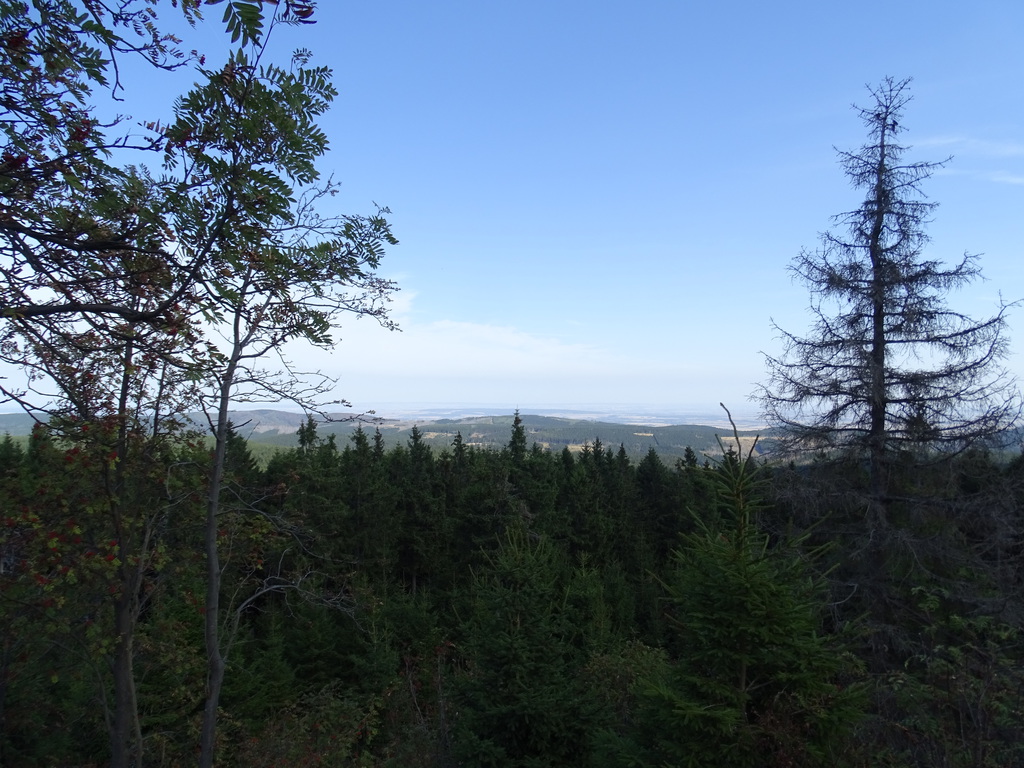 dsc01438z1ur4.jpg