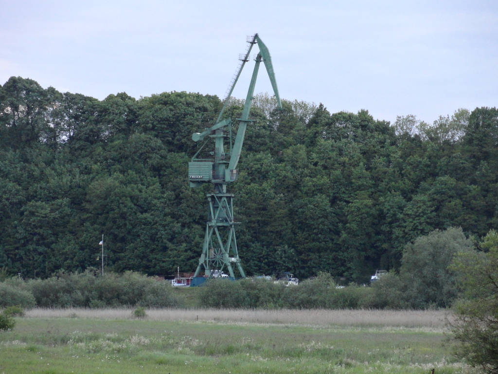 dsc015469su7n.jpg