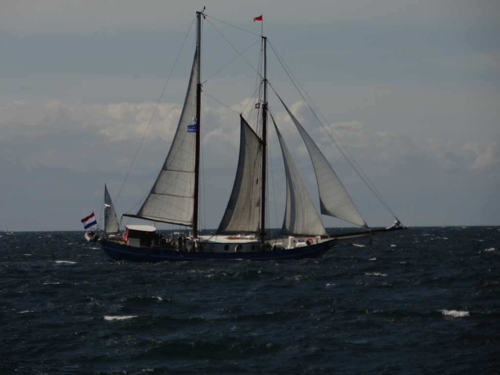 dsc02315twpgs.jpg