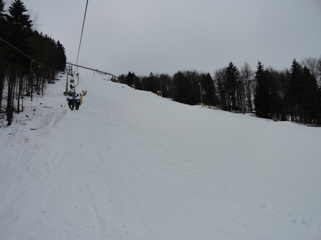 dsc03487zldvk.jpg