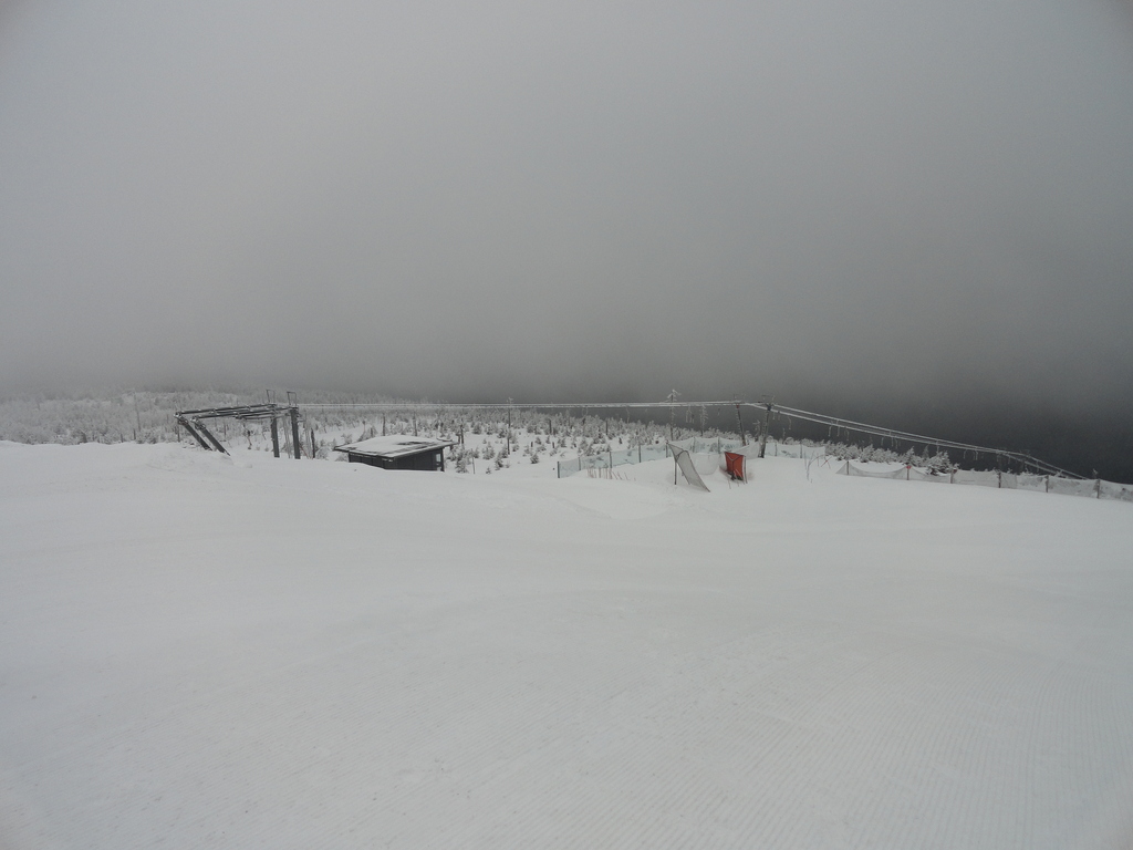 dsc03539e0kyx.jpg