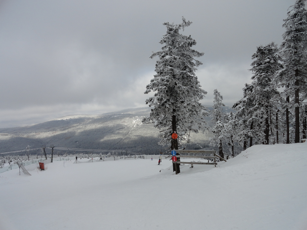 dsc03580yekb6.jpg