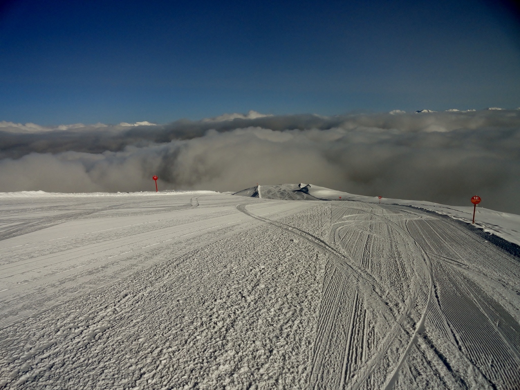 dsc04653v7lq6.jpg