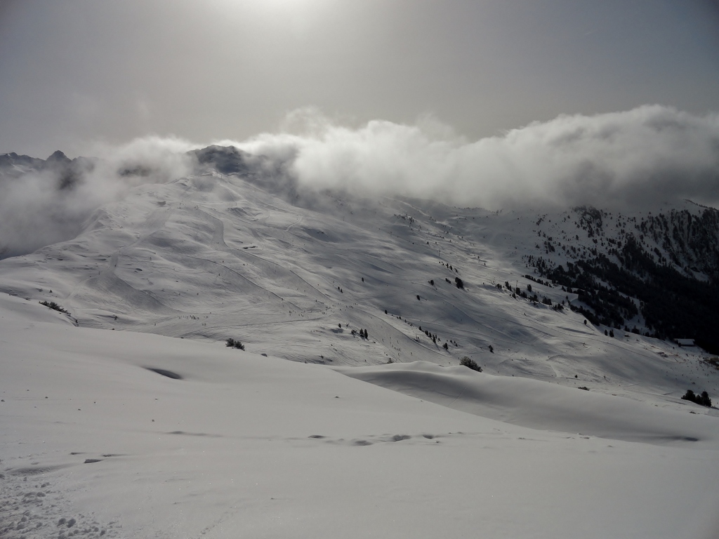dsc04686-kopiehcbum.jpg