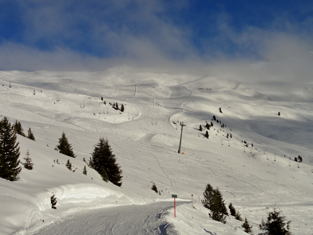 dsc047437lz49.jpg