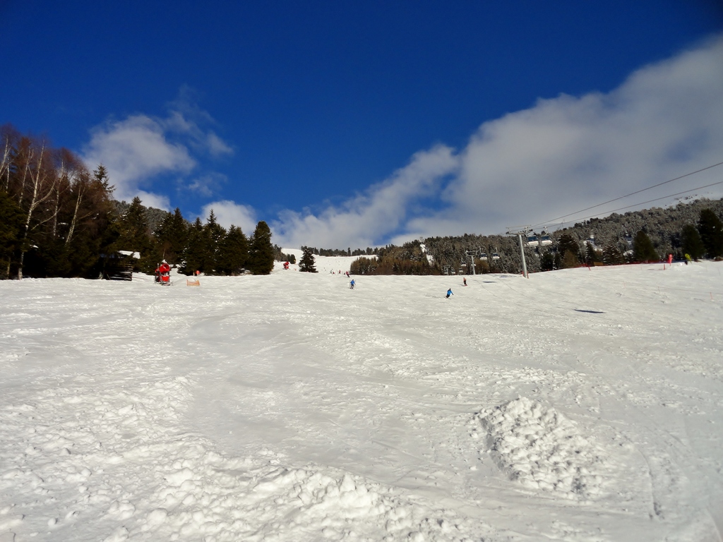 dsc04747cblf5.jpg