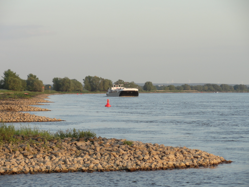 dsc04798vbpcp.jpg