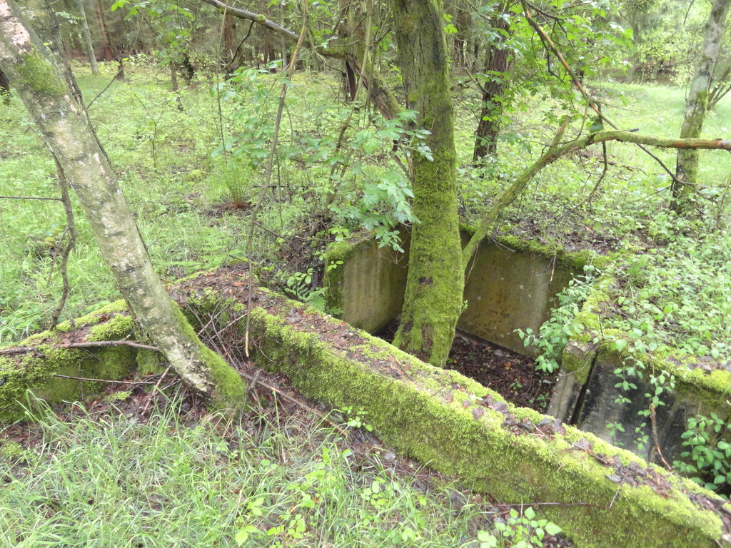 dsc04827lwd94.jpg