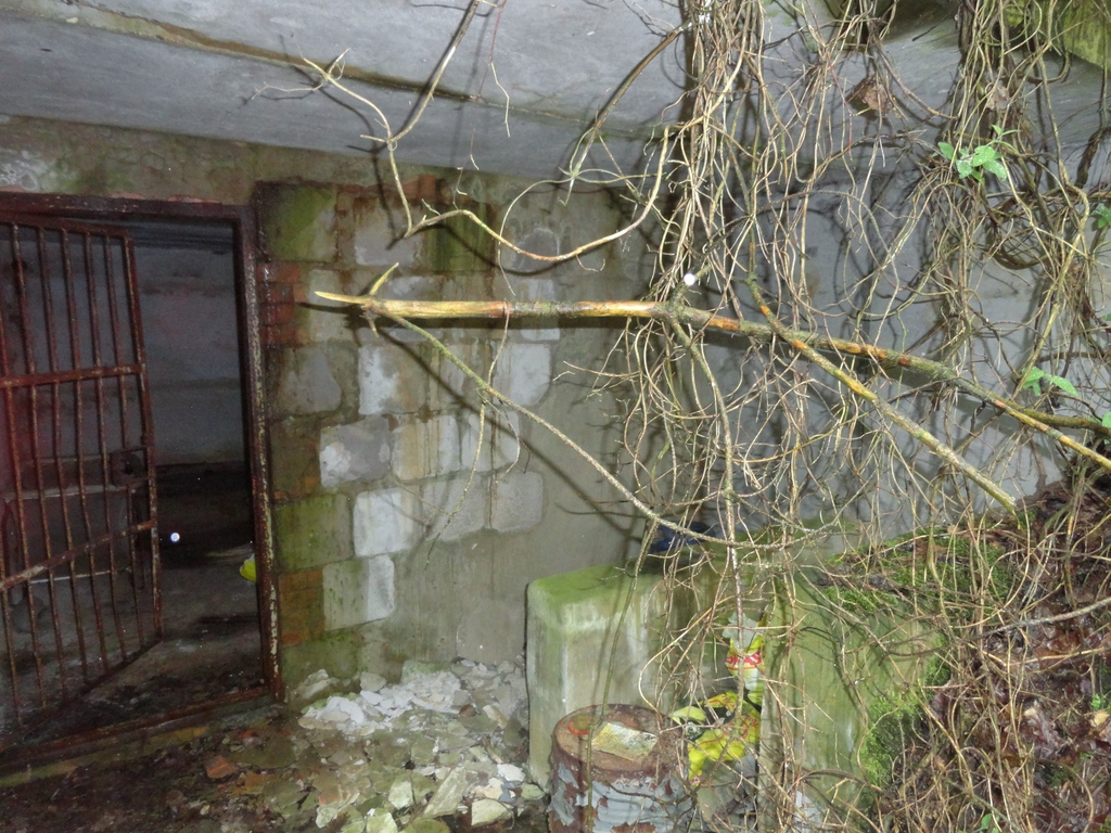 dsc04839r2ifa.jpg