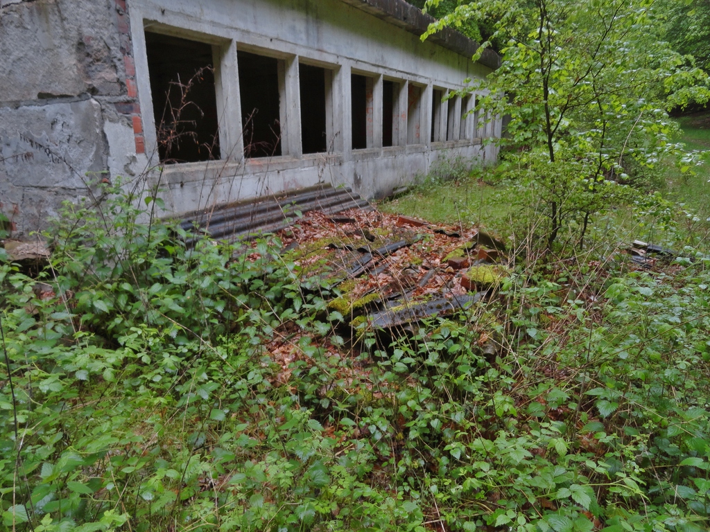 dsc04848g0fud.jpg