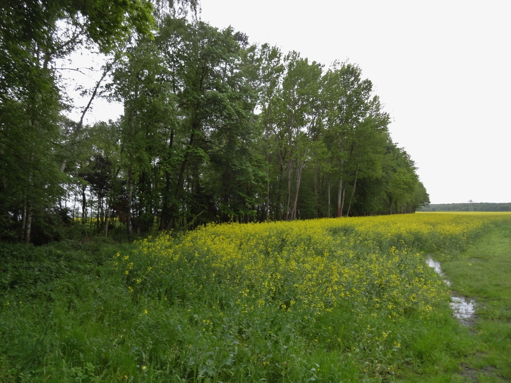 dsc04851eejv3.jpg