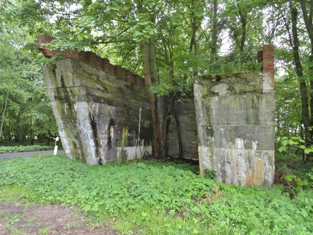 dsc048537vjo8.jpg