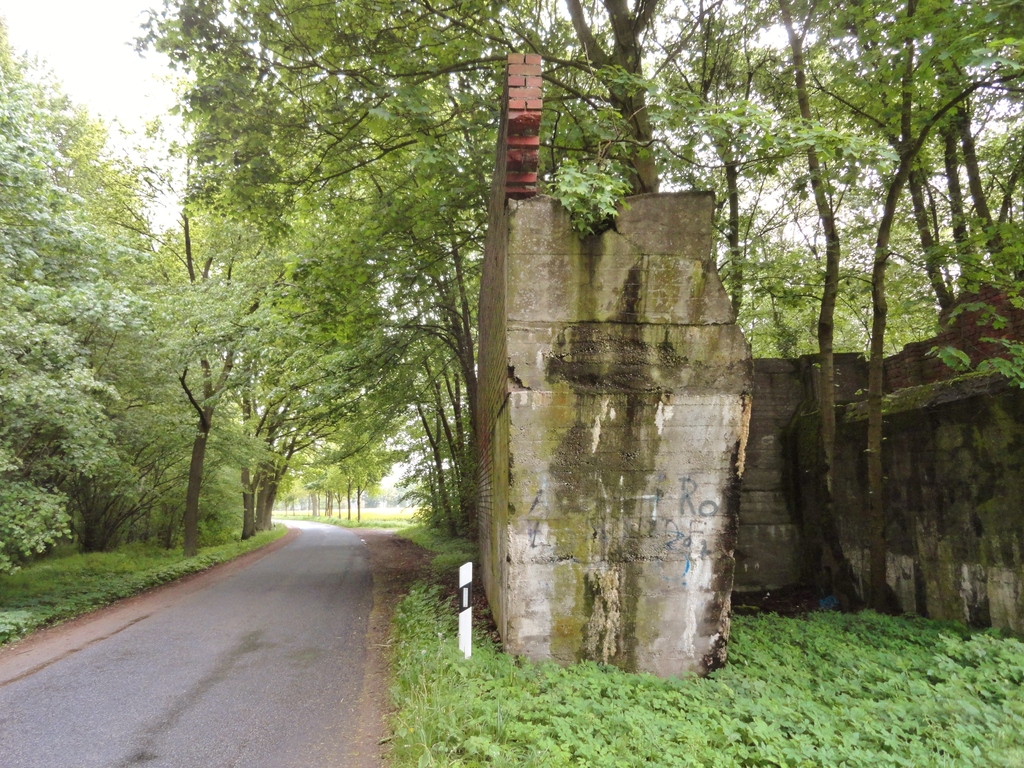 dsc04855fzi2n.jpg