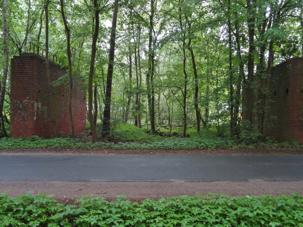 dsc0486069jnw.jpg