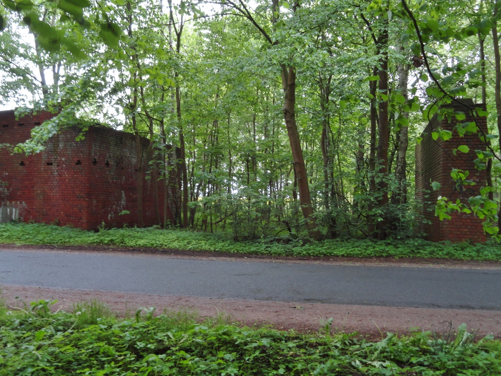 dsc04861onk4l.jpg