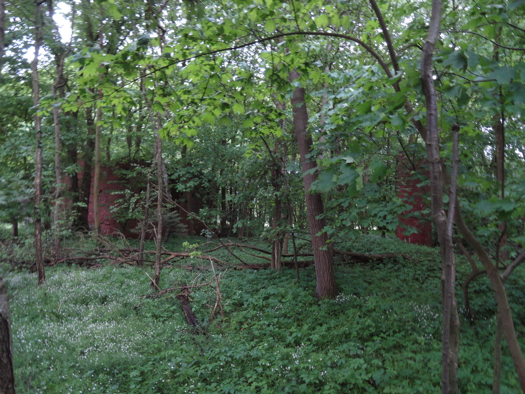 dsc04872izfy0.jpg