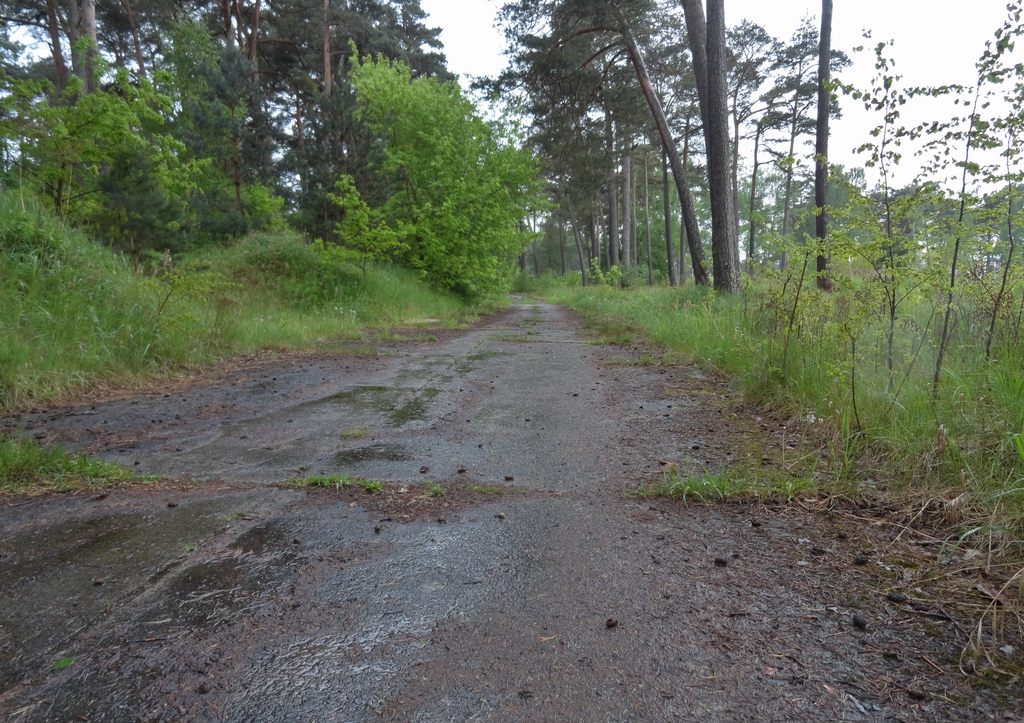 dsc0489250kmv.jpg