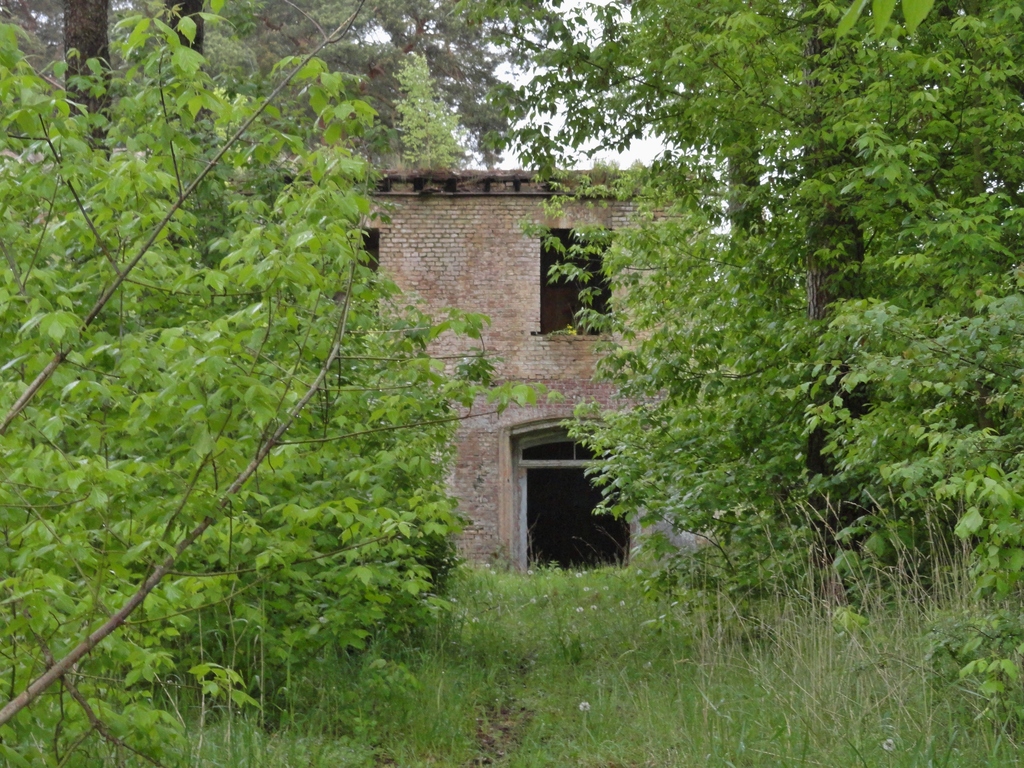 dsc04898z1k35.jpg