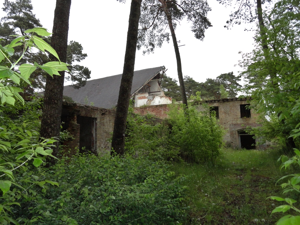 dsc04899pfkjx.jpg