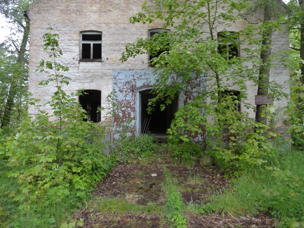 dsc049318ak1o.jpg