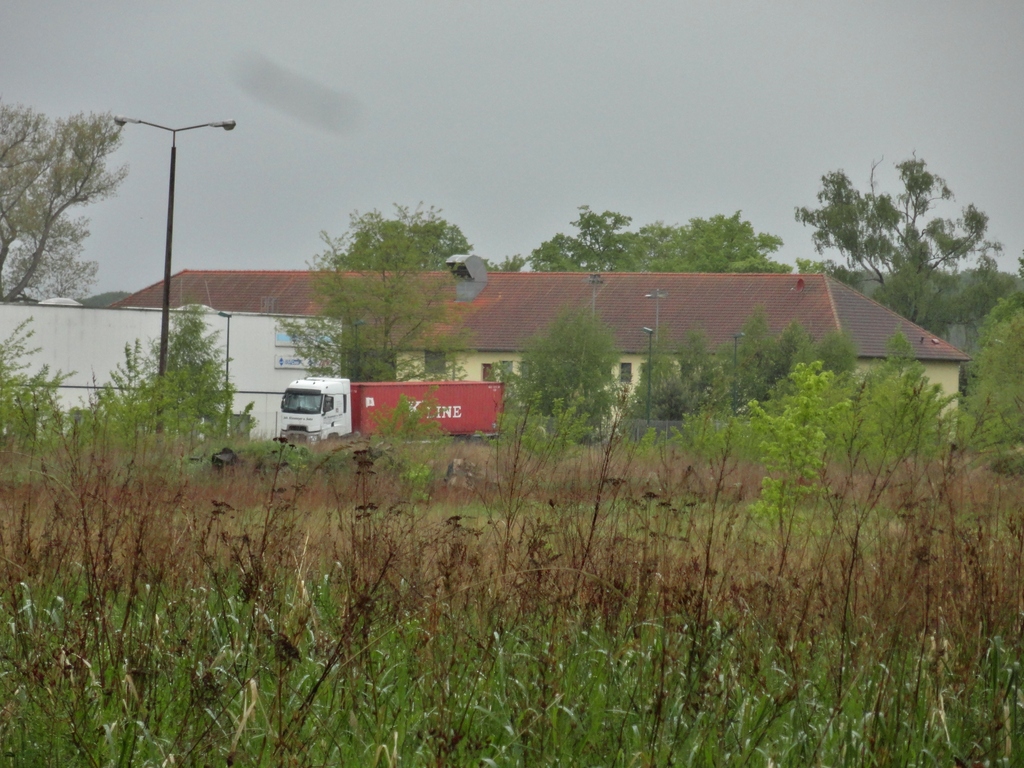 dsc0493585kvs.jpg