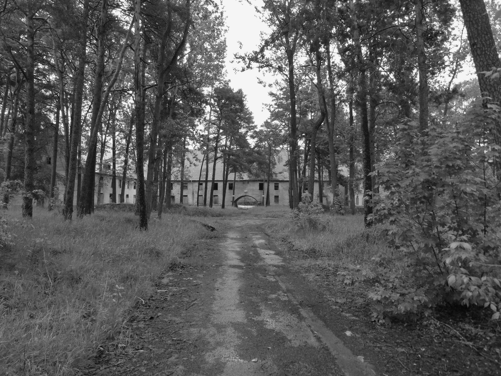 dsc0493629kve.jpg