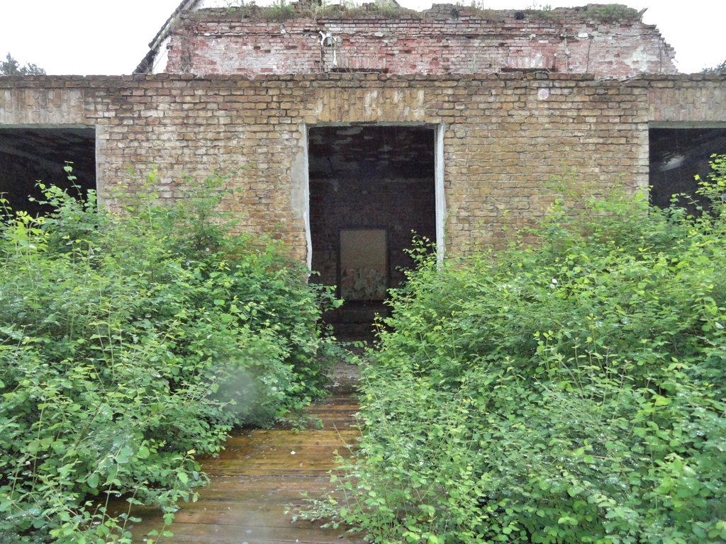 dsc049511rkmm.jpg