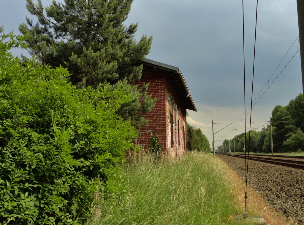dsc049650sdfo.jpg