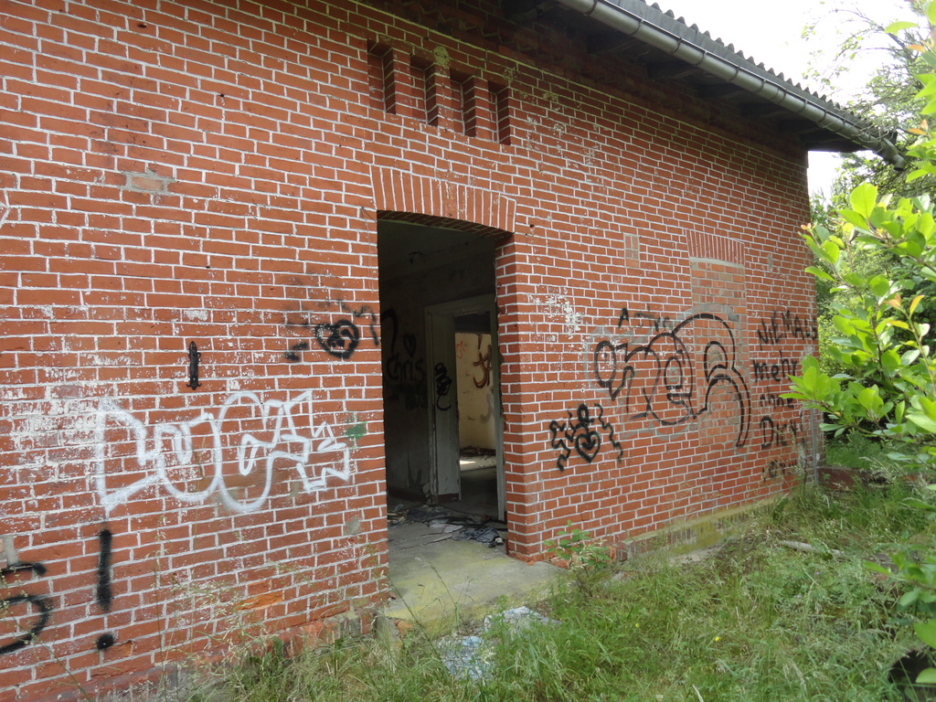 dsc04976kwfpm.jpg