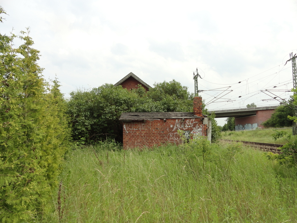dsc04993ezydu.jpg