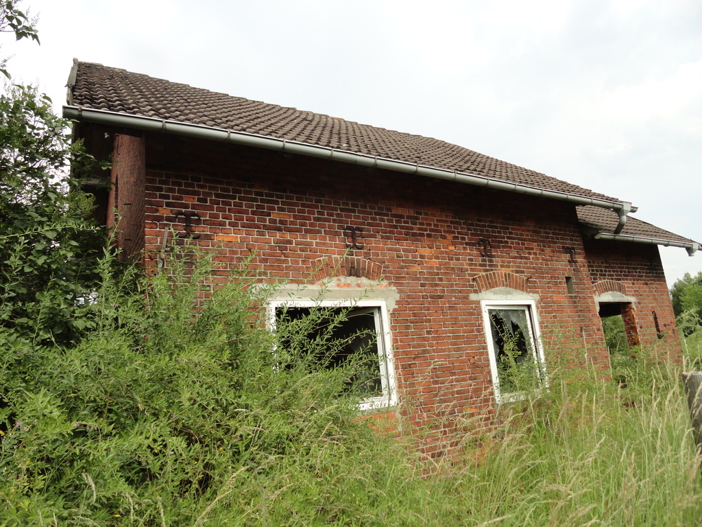dsc04997v8aas.jpg
