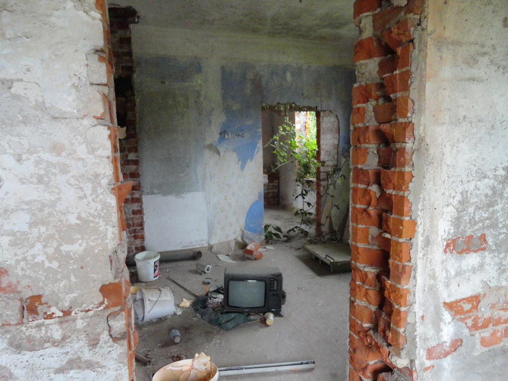 dsc05007trrwt.jpg